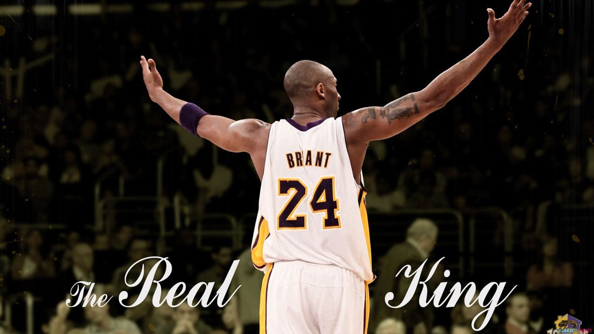 加拿大关键战突围AC米兰，C罗在美加墨世界杯接管比赛