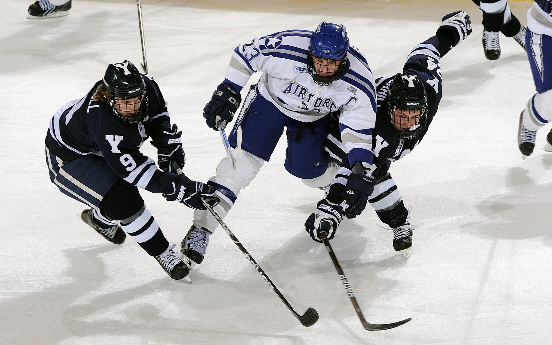 国王收割山西队，当福克斯成为撕裂防线的关键先生