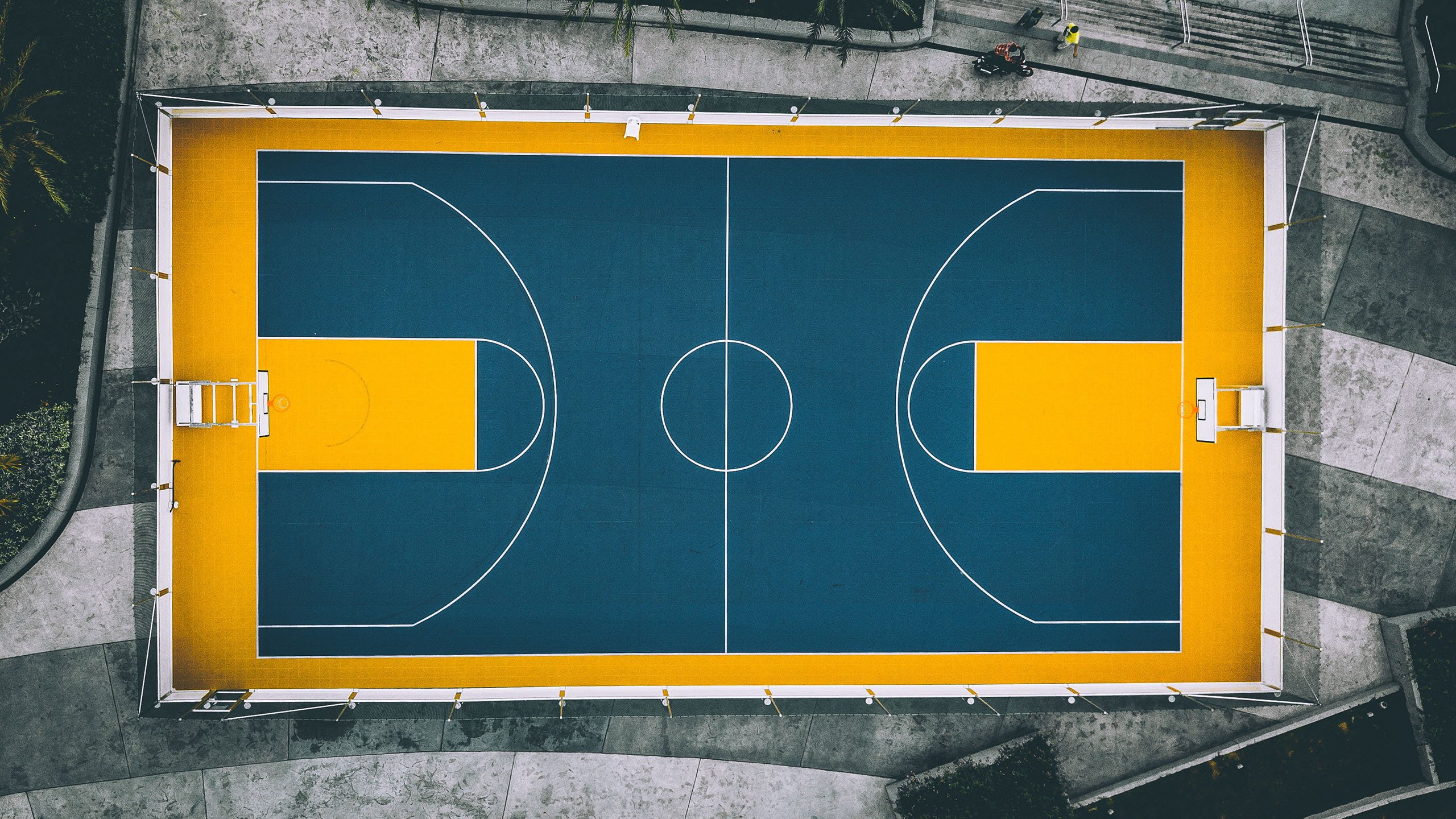 萨卡独造三球,波斯铁骑碾碎泰国防线—2026世界杯E组焦点战全记录